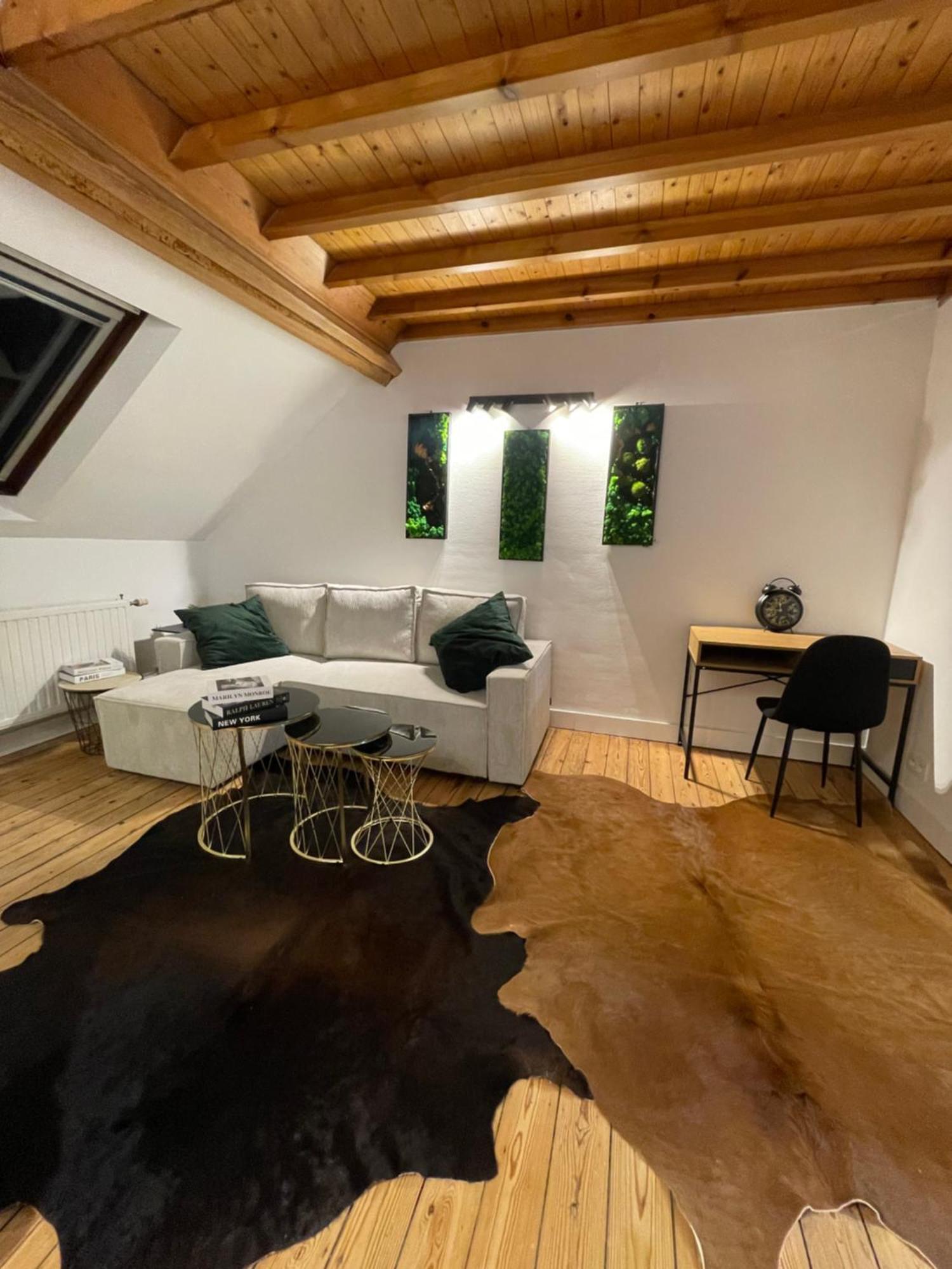 Attic European Quarter Apartment Brussel Bagian luar foto