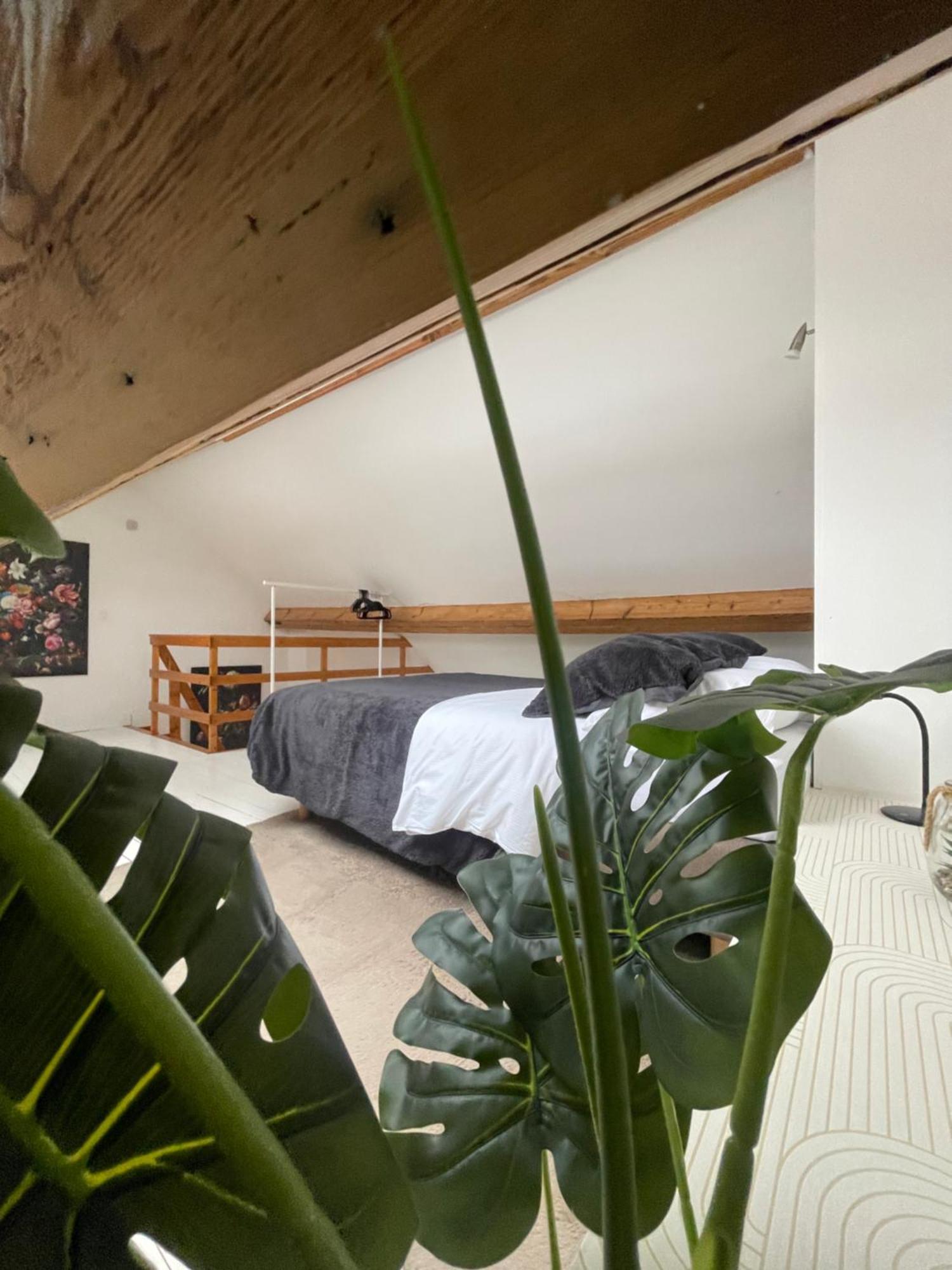 Attic European Quarter Apartment Brussel Bagian luar foto